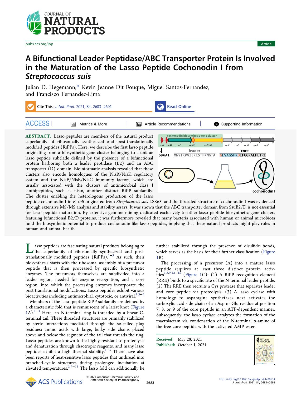 A Bifunctional Leader PeptidaseABC Transporter Protein Is Involved in the Maturation of the Lasso Peptide Cochonodin I from Streptococcus suis by Julian D. Hegemann Kevin Jeanne Dit Fouque Miguel Santos-Fernandez and Francisco Fernandez-Lima
