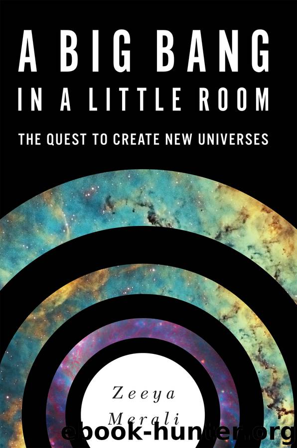 A Big Bang in a Little Room: In a Little Room: The Quest to Create New Universes by Zeeya Merali