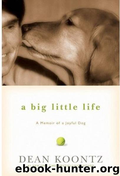 A Big Little Life - Signed by Dean Koontz