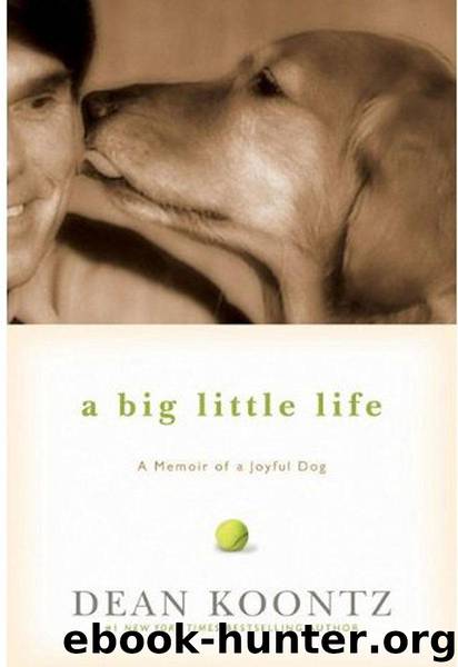A Big Little Life by Dean Koontz