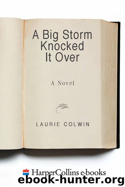 A Big Storm Knocked It Over by Laurie Colwin