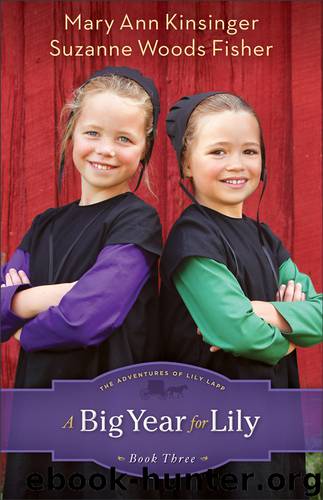 A Big Year for Lily by Mary Ann Kinsinger & Suzanne Woods Fisher