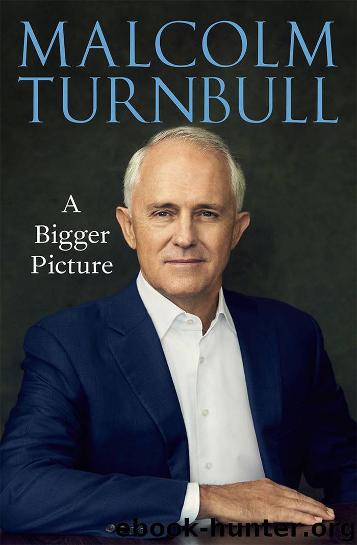 A Bigger Picture by Turnbull Malcolm;