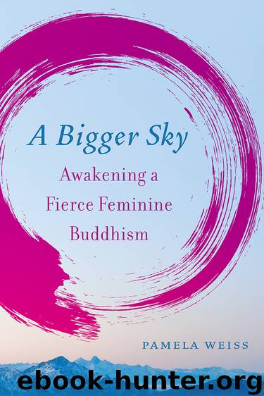 A Bigger Sky by Pamela Weiss