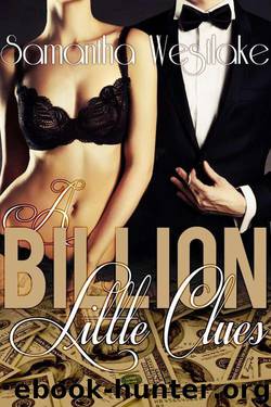 A Billion Little Clues by Westlake Samantha