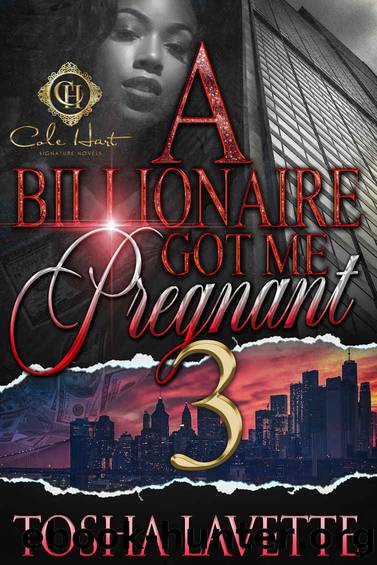 A Billionaire Got Me Pregnant 3: The Finale by Tosha Lavette