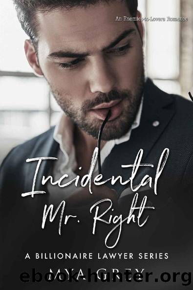 A Billionaire Lawyer Series, Incidental Mr. Right ( Book 5) An Enemies-to-Lovers Romance by Mya Grey