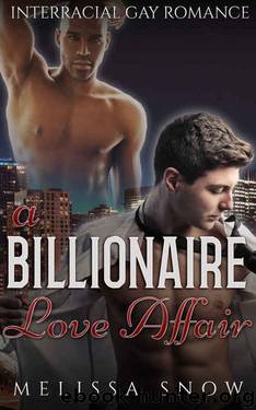 A Billionaire Love Affair by Melissa Snow
