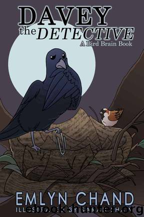 A Bird Brain Book: Davey the Detective (A Crow Solves a Mystery) (Bird Brain Books Book 2) by Emlyn Chand