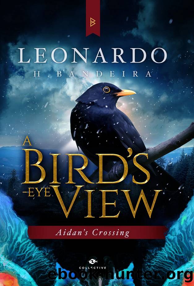 A Birdâs-Eye View: Aidanâs Crossing by Leonardo H. Bandeira