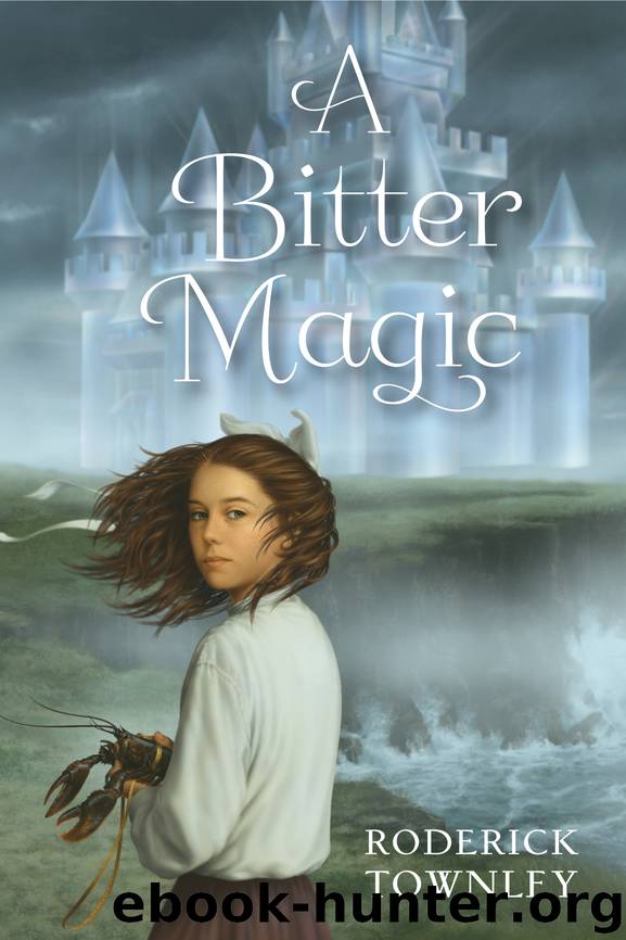 A Bitter Magic by Roderick Townley