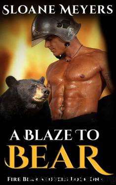 A Blaze To Bear (Fire Bear Shifters Book 1) by Sloane Meyers