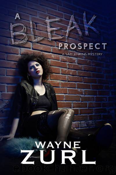 A Bleak Prospect by Wayne Zurl