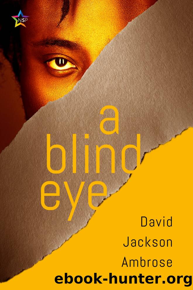 A Blind Eye by David Jackson Ambrose