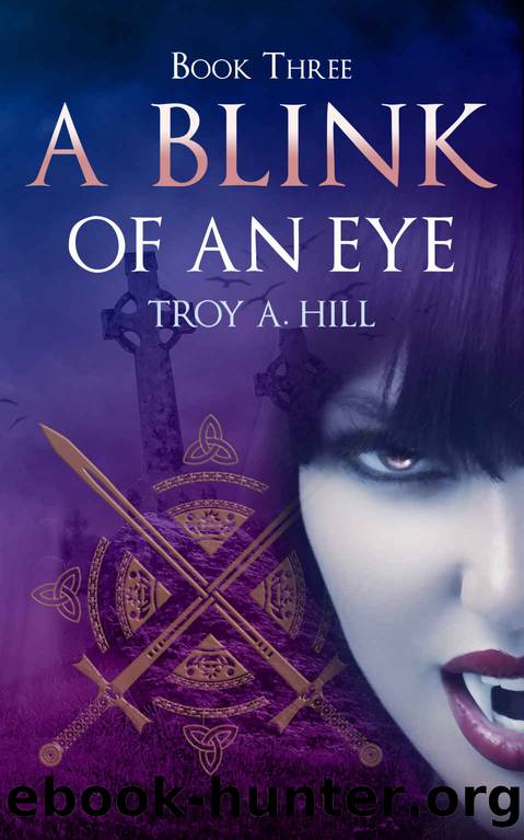 A Blink of an Eye by Troy A. Hill