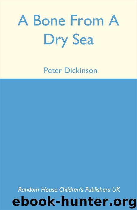 A Bone From a Dry Sea by Peter Dickinson