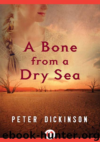 A Bone from a Dry Sea by Peter Dickinson