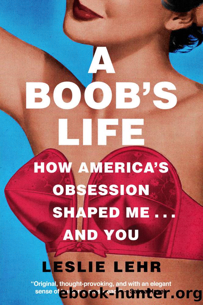 A Boob's Life by Leslie Lehr