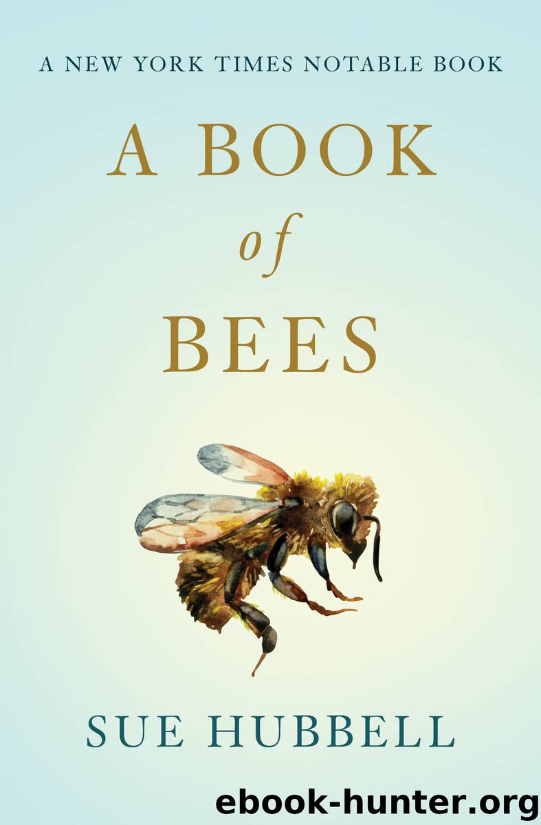 A Book of Bees by Sam Potthoff