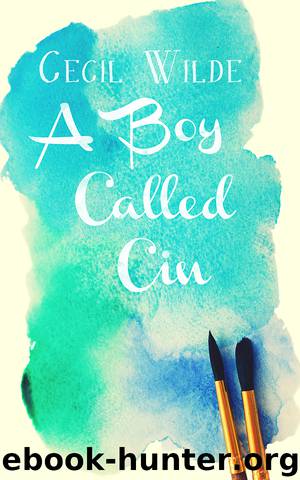A Boy Called Cin by Cecil Wilde