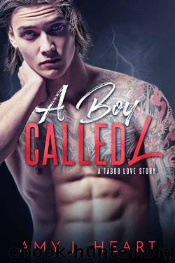 A Boy Called L: A Taboo Love Story by Amy J. Heart