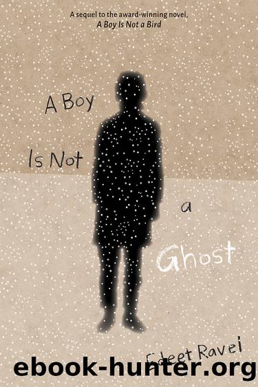 A Boy Is Not a Ghost by Edeet Ravel