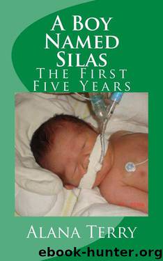 A Boy Named Silas: The First Five Years by Alana Terry
