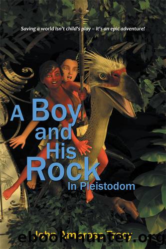 A Boy and His Rock by John Ambrose Tracy