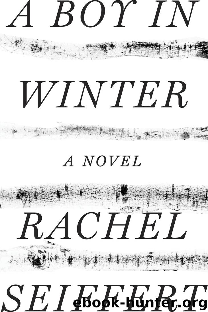 A Boy in Winter by Rachel Seiffert