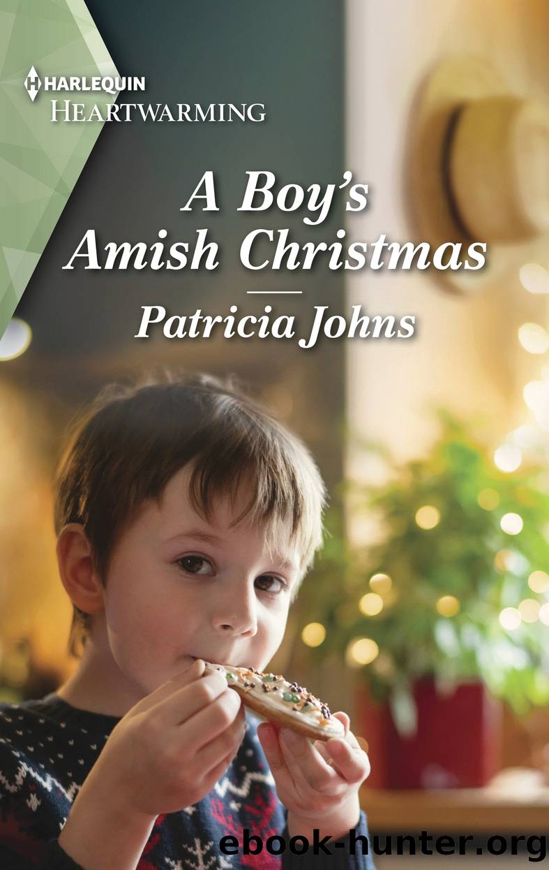 A Boy's Amish Christmas by Patricia Johns