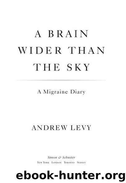 A Brain Wider Than the Sky by Andrew Levy