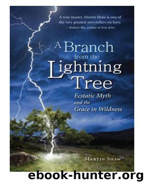 A Branch from the Lightning Tree by Martin Shaw
