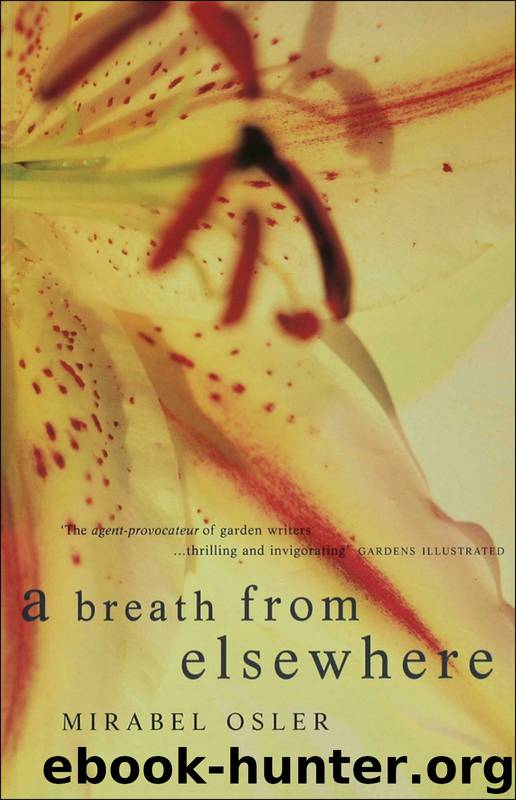A Breath from Elsewhere by Mirabel Osler