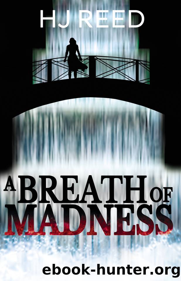 A Breath of Madness: A Ruben Quinn Novel by HJ Reed