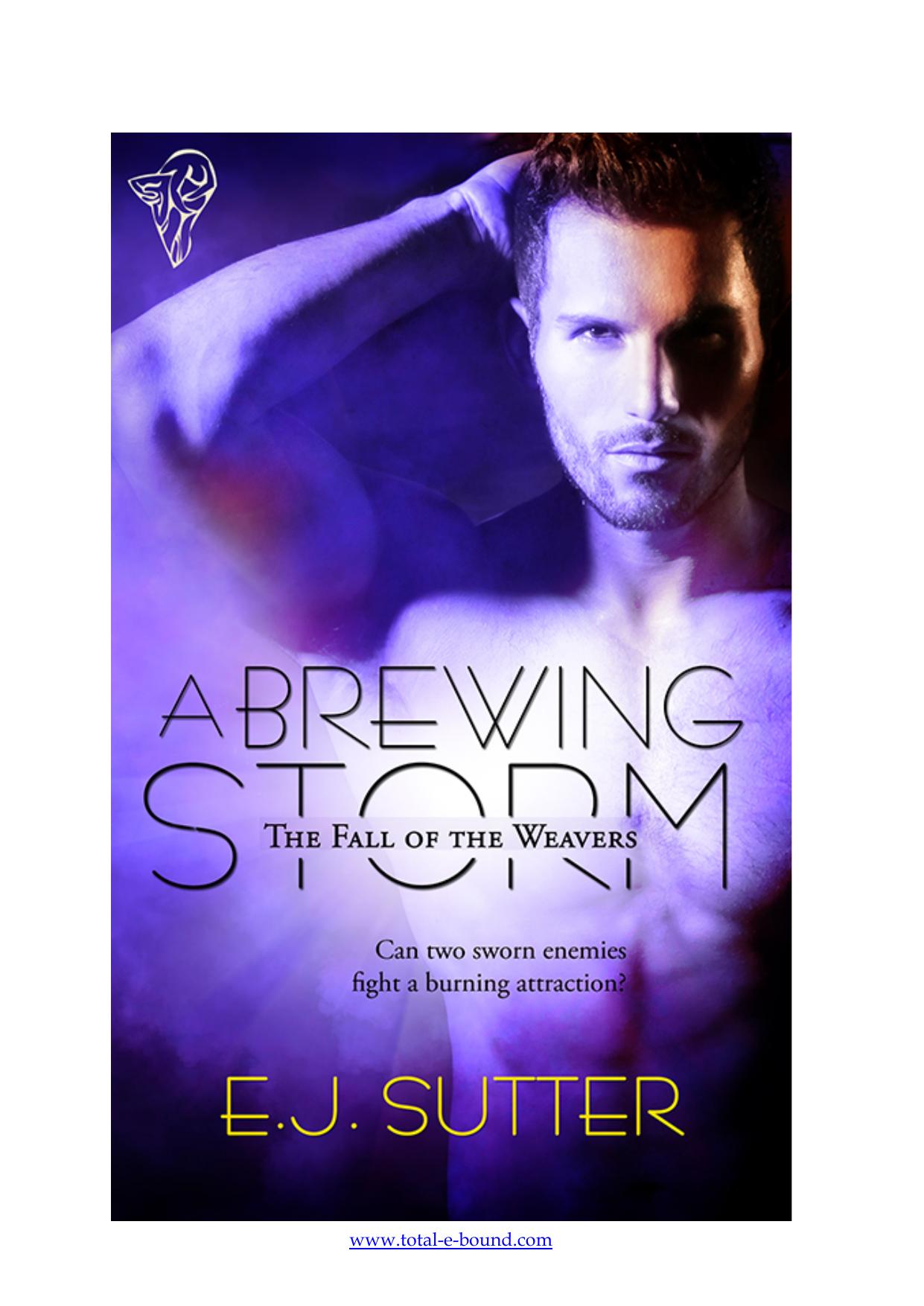 A Brewing Storm by E.J. Sutter