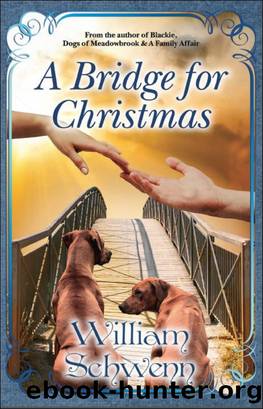 A Bridge for Christmas by William Schwenn