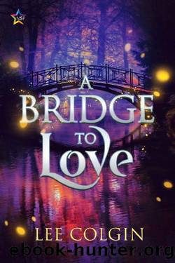 A Bridge to Love by Lee Colgin