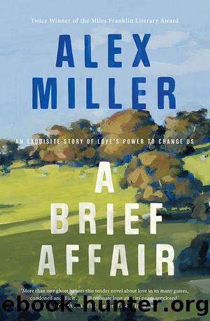 A Brief Affair by Alex Miller