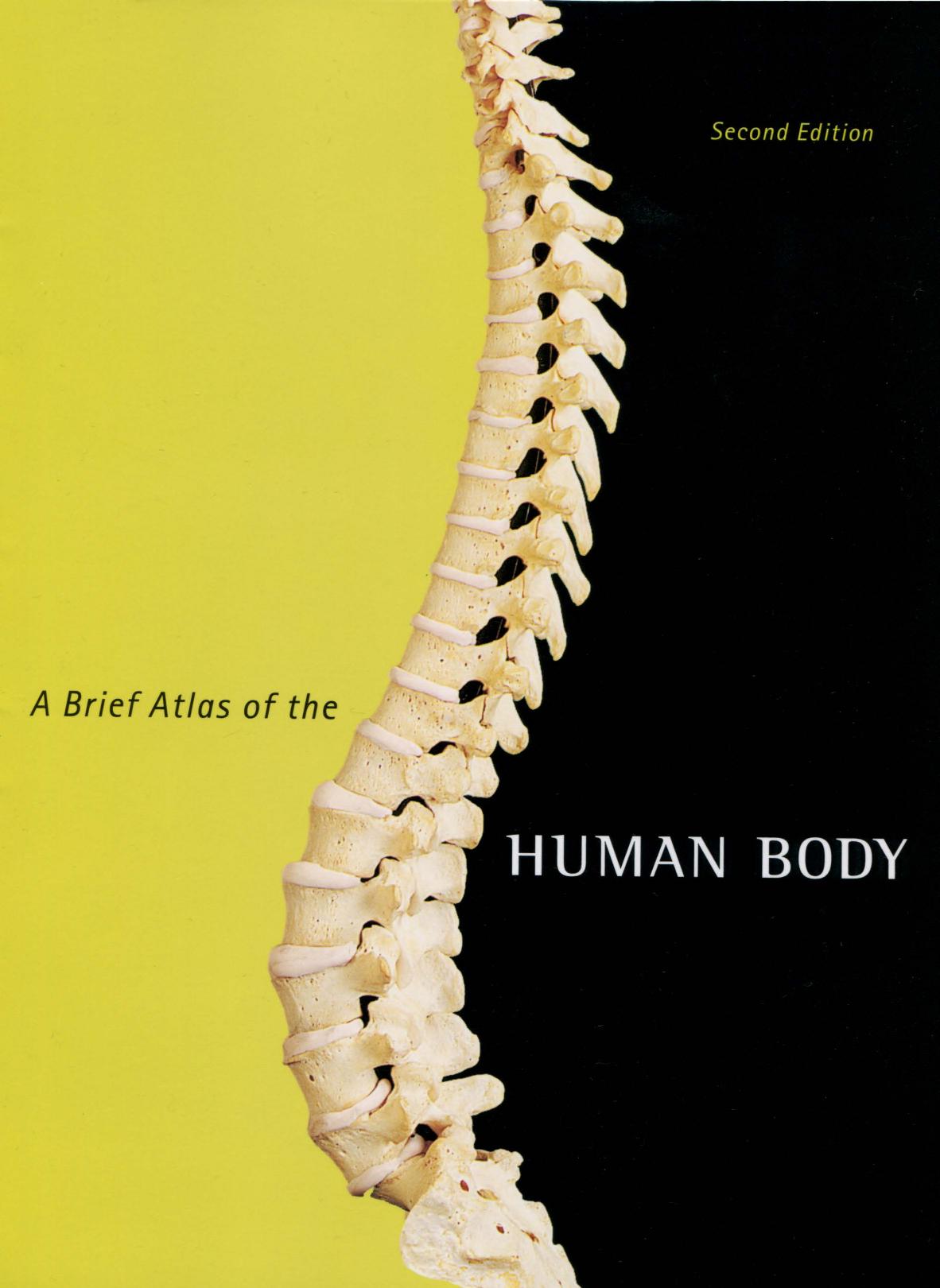A Brief Atlas of the Human Body by unknow