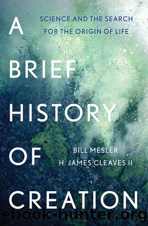A Brief History of Creation by H. James Cleaves II & Bill Mesler