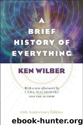 A Brief History of Everything by Ken Wilber