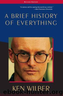 A Brief History of Everything: Revised Edition by Ken Wilber