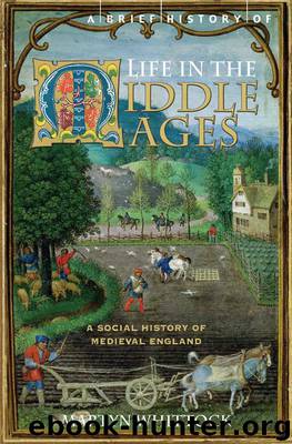 A Brief History of Life in the Middle Ages (Brief Histories) by Whittock Martyn