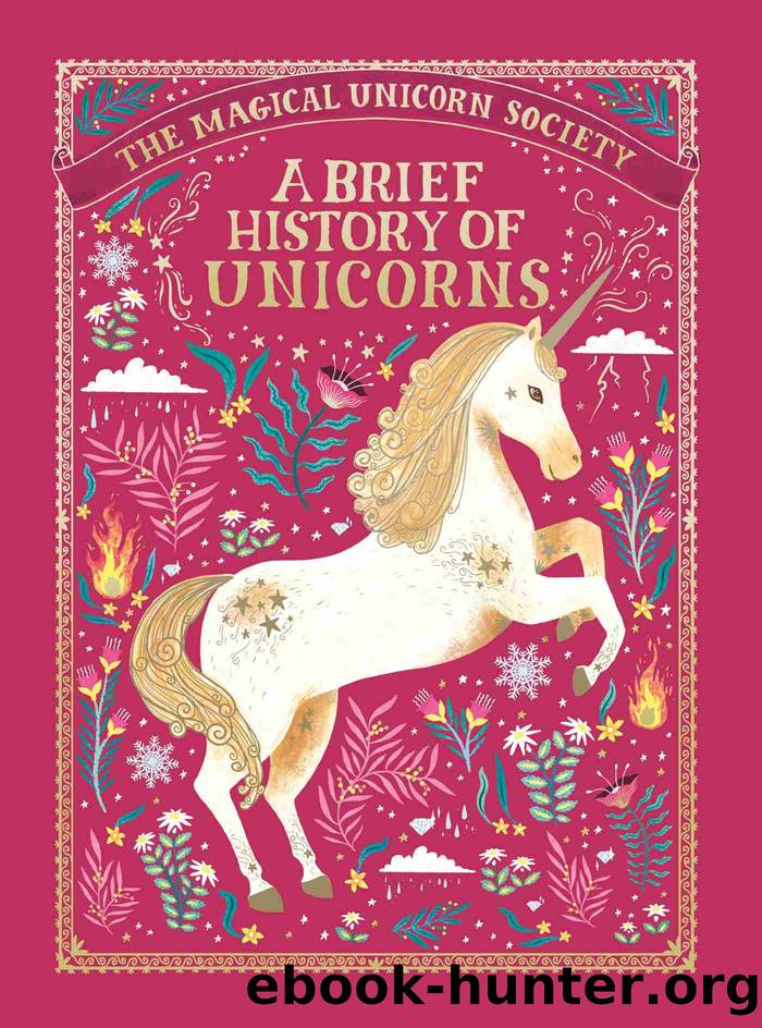 A Brief History of Unicorns by unknow