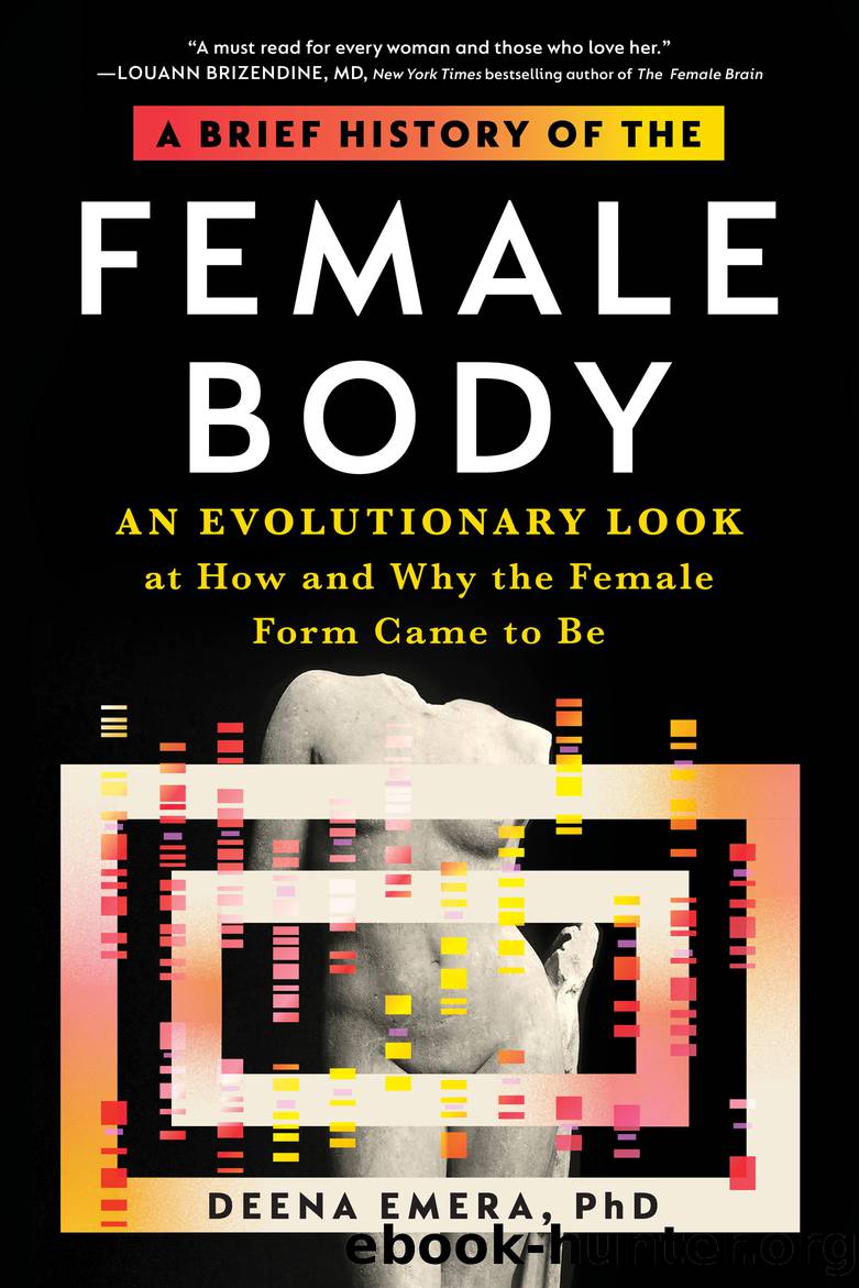 A Brief History of the Female Body by Emera Deena;