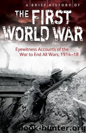 A Brief History of the First World War by Jon E. Lewis
