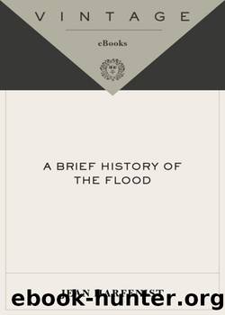 A Brief History of the Flood by Jean Harfenist