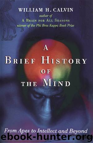 A Brief History of the Mind by William H. Calvin