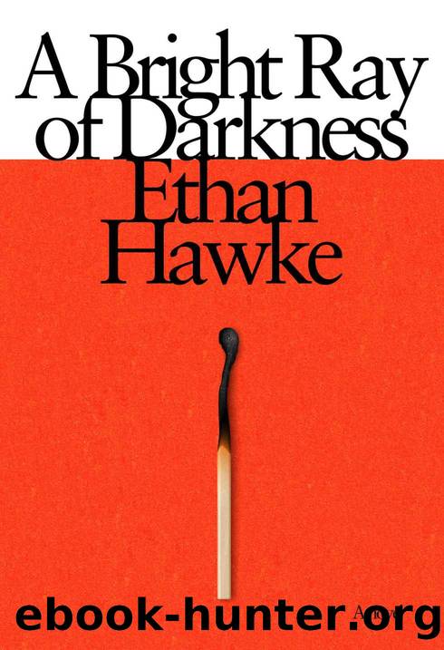 A Bright Ray of Darkness by Ethan Hawke