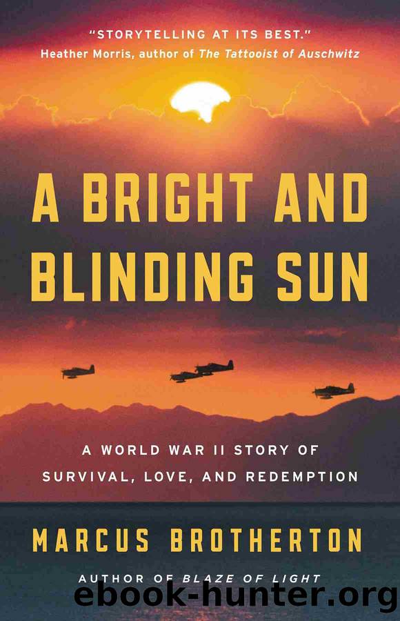 A Bright and Blinding Sun by Marcus Brotherton